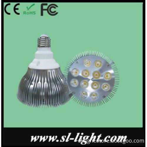 13W E27 LED PAR38